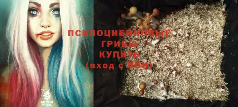 мега ТОР  Сочи  Псилоцибиновые грибы Magic Shrooms 